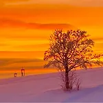 Wittgensteiner Winterberg