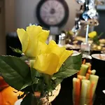 Hotel Flora & Fauna (adults Only) Winterberg