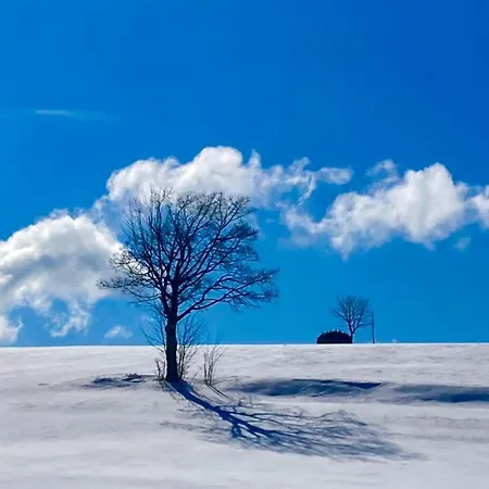 Flora & Fauna (adults Only) Ξενοδοχείο 3*