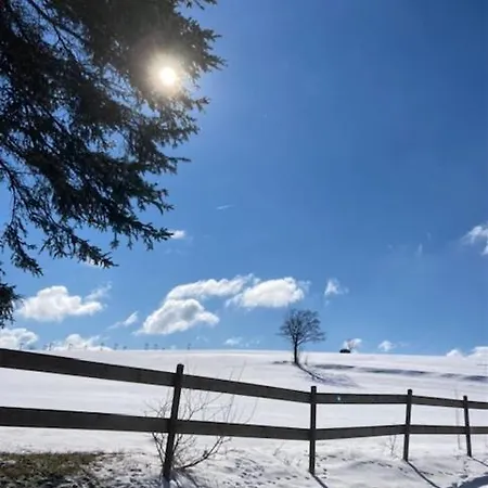 Szálloda Flora & Fauna (adults Only) 3*