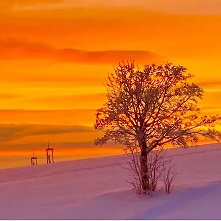 Flora & Fauna (adults Only) Βίντερμπεργκ