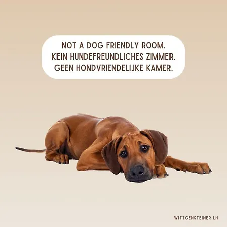 Flora & Fauna (adults Only) Winterberg