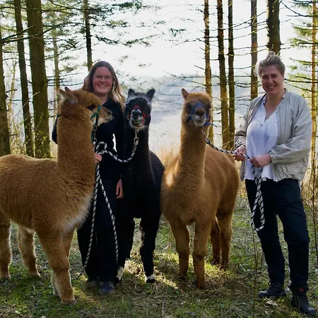 Ξενοδοχείο Flora & Fauna (adults Only) Βίντερμπεργκ