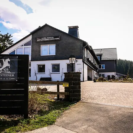 Wittgensteiner Hotel 3*