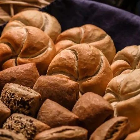 Flora & Fauna (adults Only)