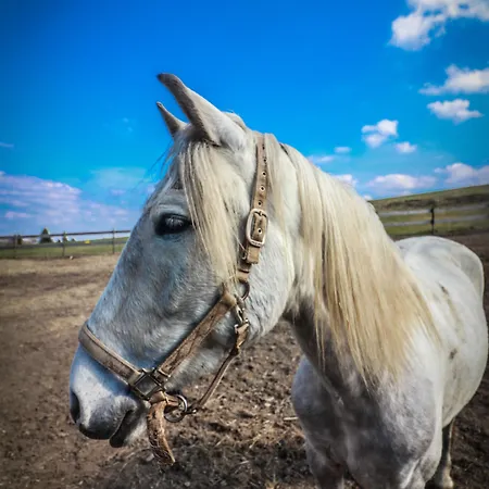 Ξενοδοχείο Flora & Fauna (adults Only)