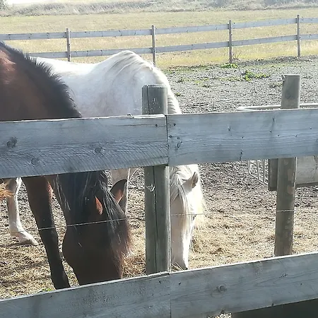 Flora & Fauna (adults Only) ヴィンターベルク