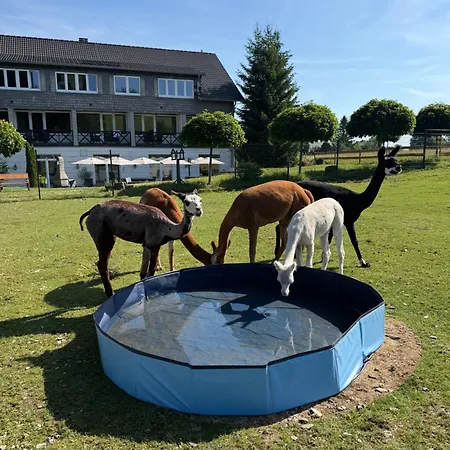 Hotel Flora & Fauna (adults Only) 3*