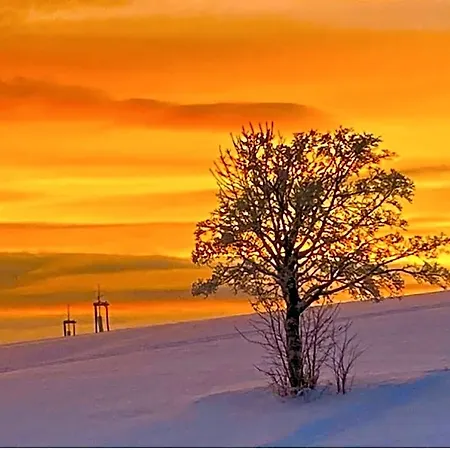 Flora & Fauna (adults Only) 3* Winterberg