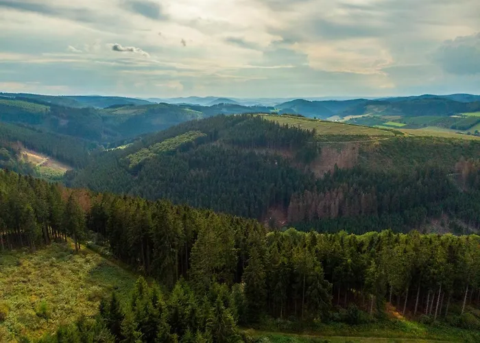 Wittgensteiner Hotel 3*