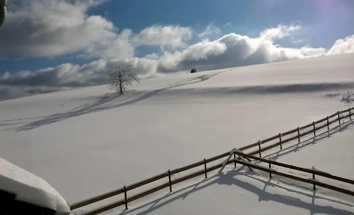 Wittgensteiner Hotel 3*