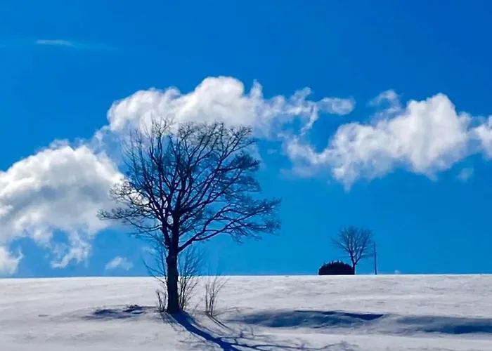 Flora & Fauna (adults Only) Отель 3*