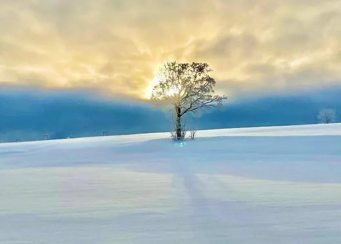 Flora & Fauna (adults Only) 3* Винтерберг