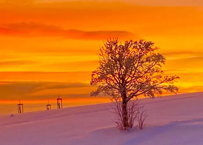 Wittgensteiner Winterberg