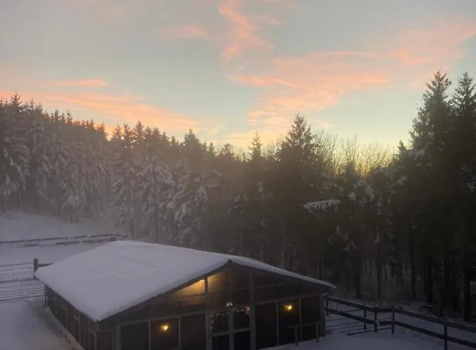 Hotel Wittgensteiner 3*