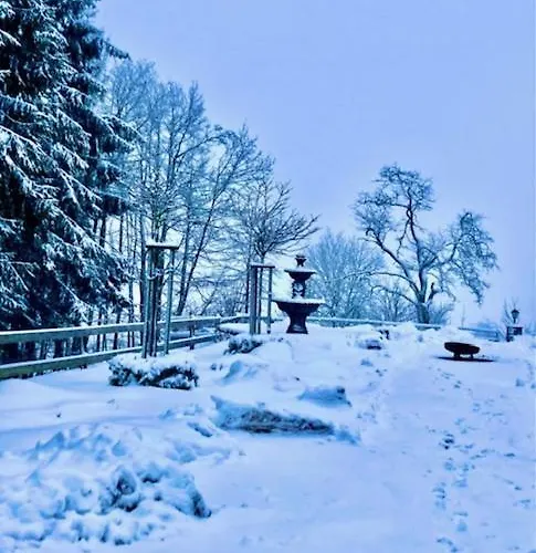 Wittgensteiner Winterberg