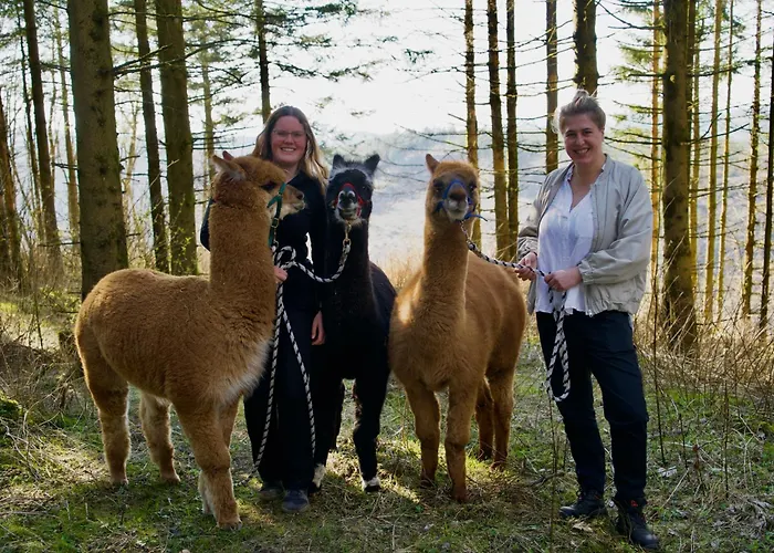Hotel Wittgensteiner Winterberg