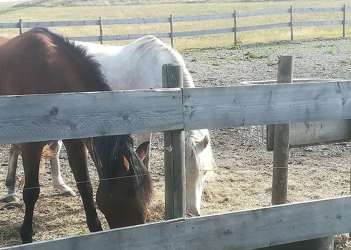 Wittgensteiner Winterberg
