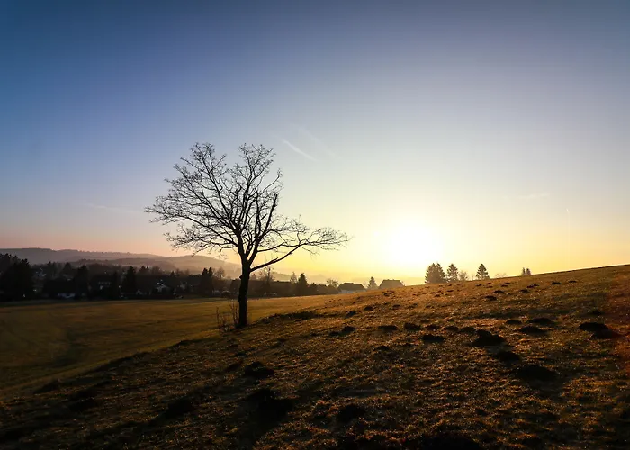 Wittgensteiner Hotel