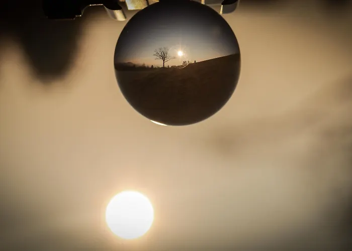 Отель Flora & Fauna (adults Only) 3*